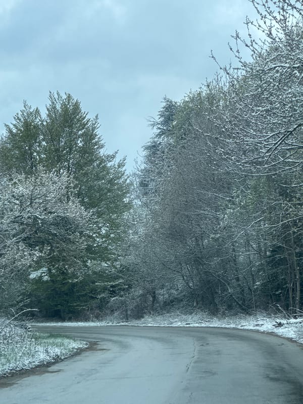 Late spring snowfall covers roads in Chokmanovo, Bulgaria