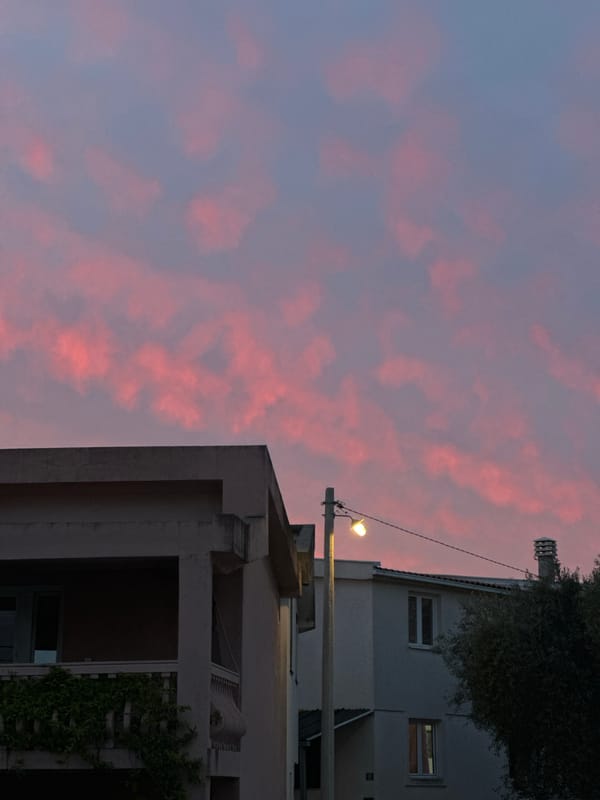 Coffee break with glasses-wearing Samoyed dog in Montenegro