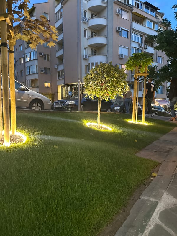 Evening dinner documented in Veliko Tarnovo, Bulgaria