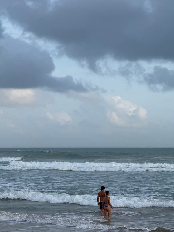 Golden hour on a moody Sri Lankan beach with dogs and waves