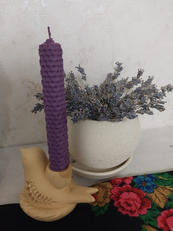 Dnipro resident documents crafts, toys and beloved cat at home