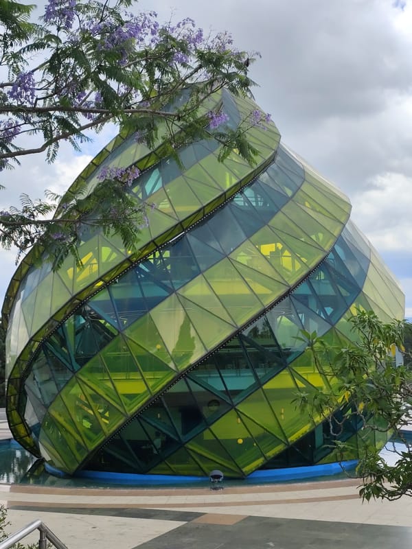 Geometric flower dome and hibiscus documented in Da Lat
