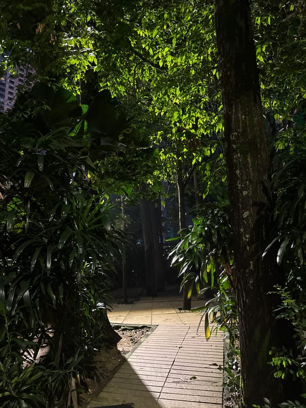 Luxury MPV spotted in illuminated Kuala Lumpur park area