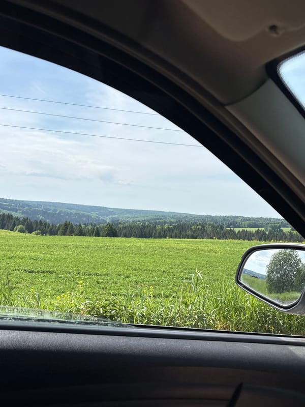 Young woman documents rural car journey near Khokhlovka, Russia