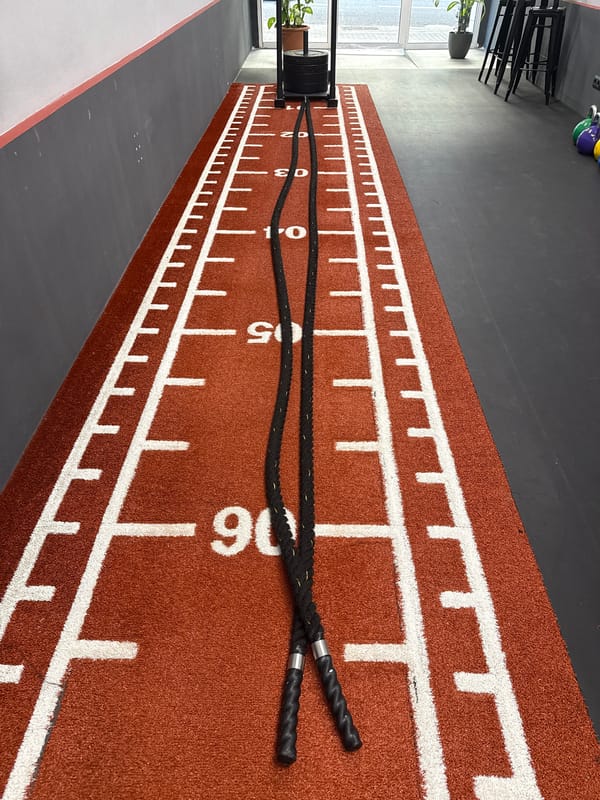 Barcelona gym interior documented with equipment and plant details