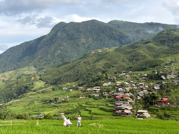 Tả Van's rice terraces and village in peak green season