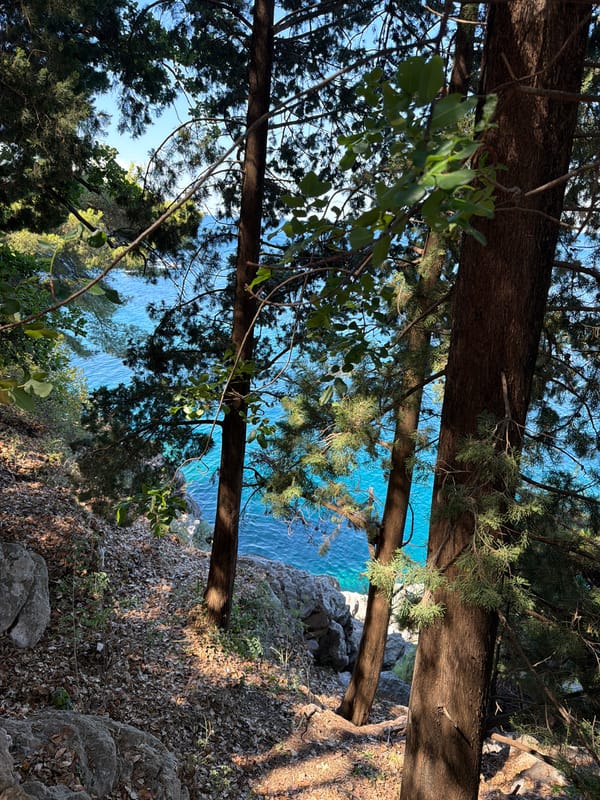 Morning on the hillsides above Sveti Stefan's iconic coastline