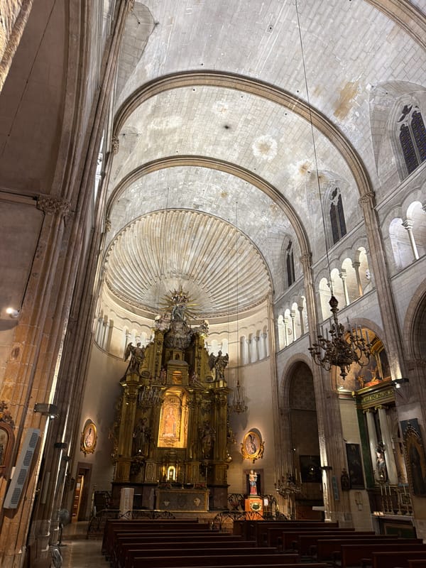 Palma cathedral interior and shaded promenade on a summer morning