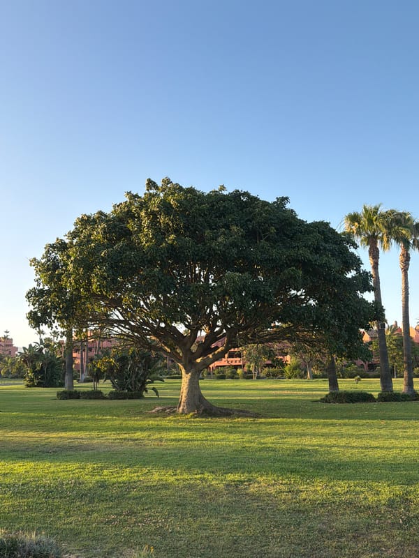 Golden hour across Estepona — coast, park, and old tower
