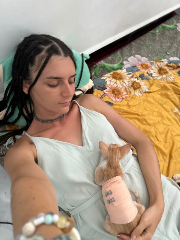 Lazy morning in Mũi Né with people, kittens, and rest