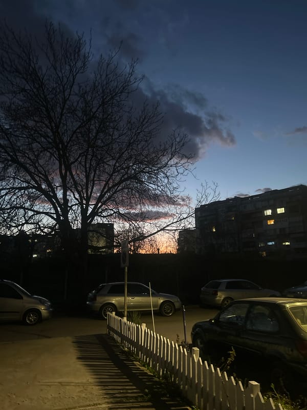 Woman captures evening selfies and twilight scenes in Ruse