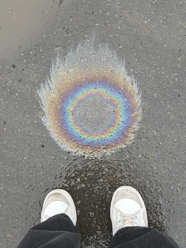 Oil slick creates rainbow patterns on wet street