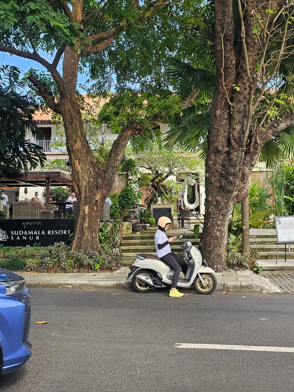 Daily life scenes across Denpasar mix construction work, traditions