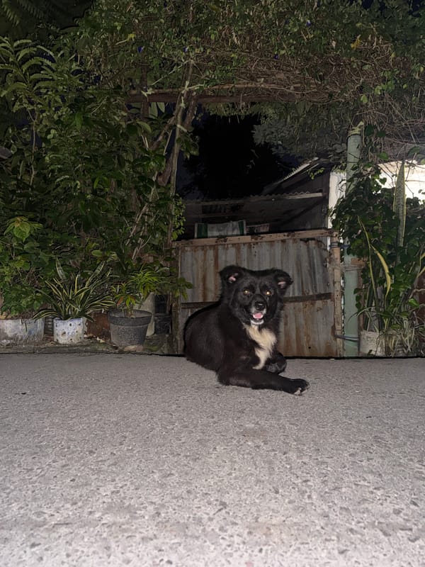 Quiet nighttime street life in Kuta Selatan, Bali