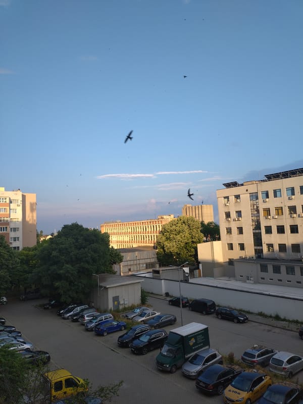 Casual urban moments documented across Stara Zagora during evening