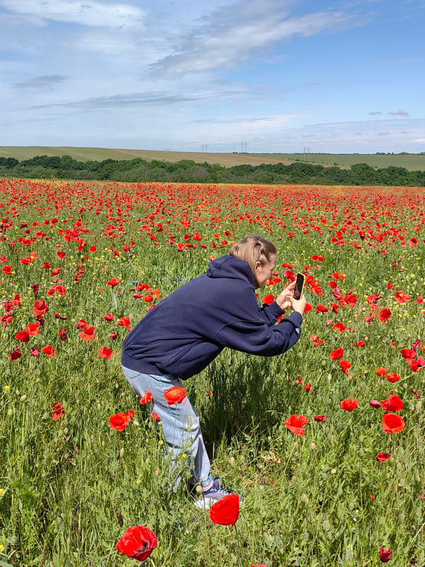 Woman photographs herself in Ukrainian poppy field during morning visit