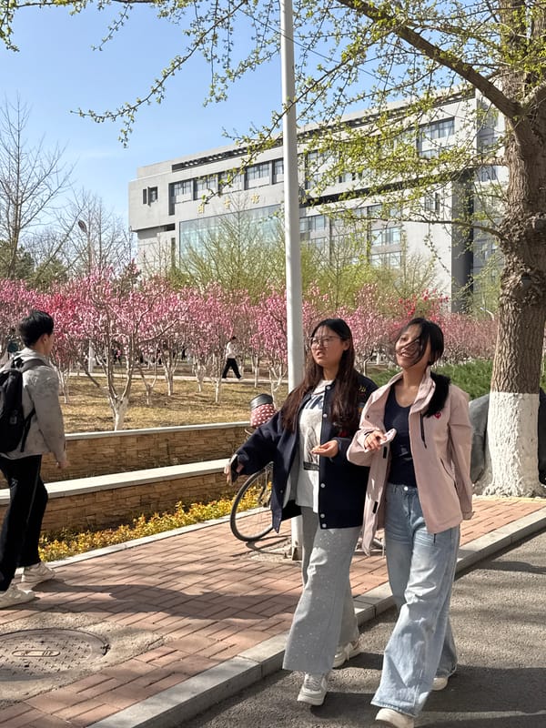 Morning activities captured across Zhongtun: outdoor spring scenes, recreation, education