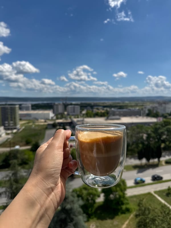Coffee and cats afternoon in Varna, Bulgaria
