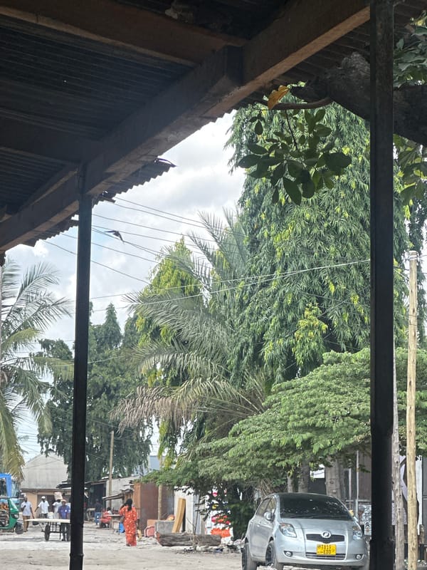Morning scenes from Dar es Salaam streets and market area