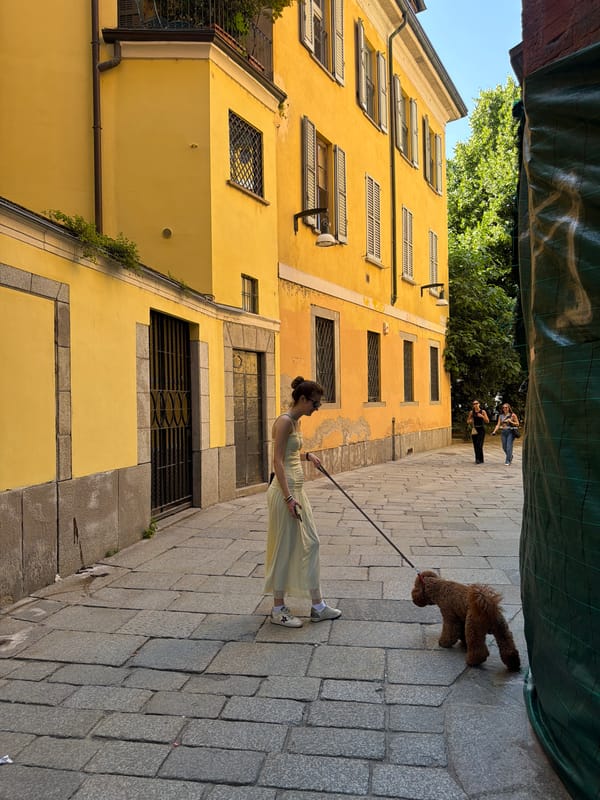 Woman walks poodle through Milan cobblestone alley