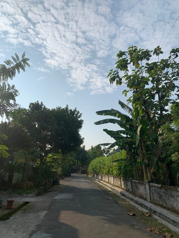 Rural scenes and quiet moments in Tanjungsepreh, Indonesia