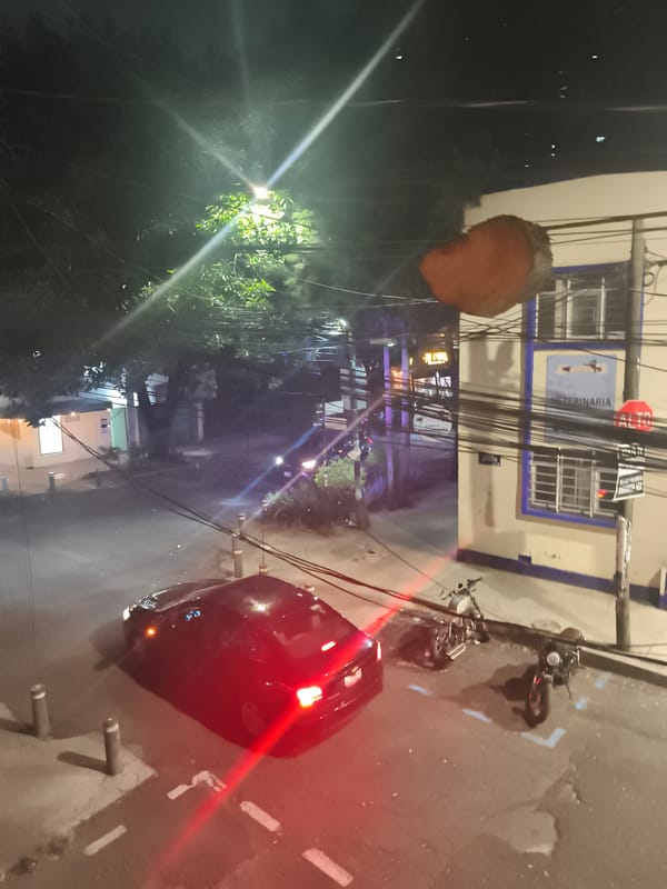 Early morning domestic scenes documented across Mexico City residence