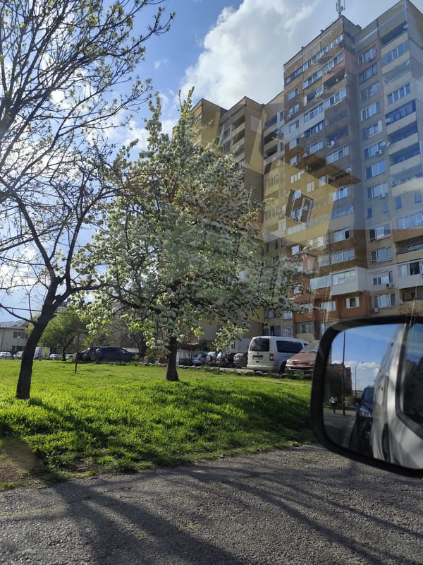 Spring blooms observed from vehicle in Sofia, Bulgaria