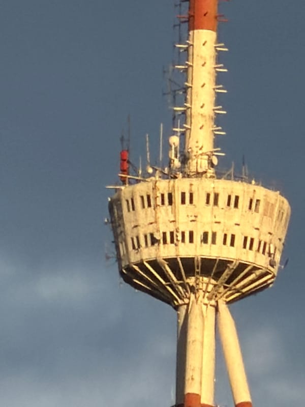 Tbilisi landmarks and golden retriever captured by witness