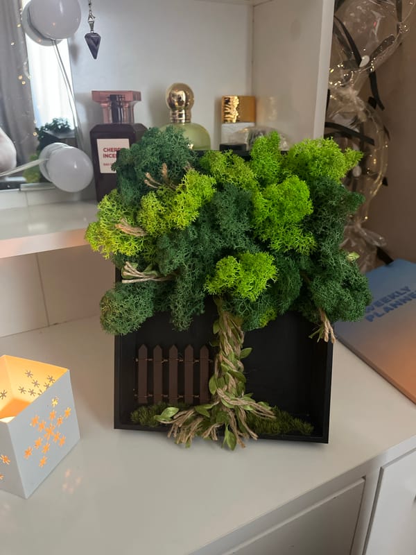 Decorative botanical display observed in Liepaja home