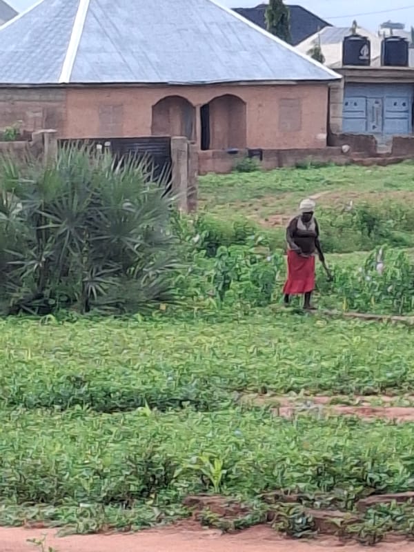 Everyday life in a rural Nigerian settlement