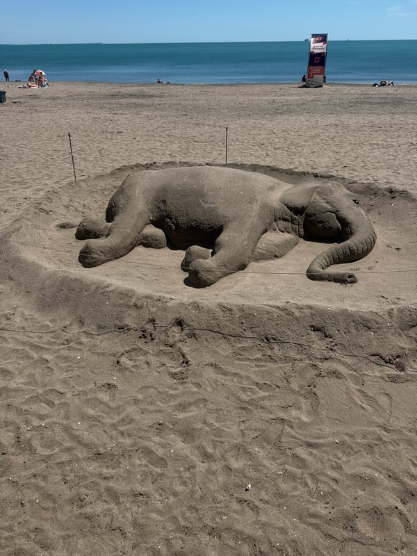 Sand elephant sculpture draws visitors to Burgas beach