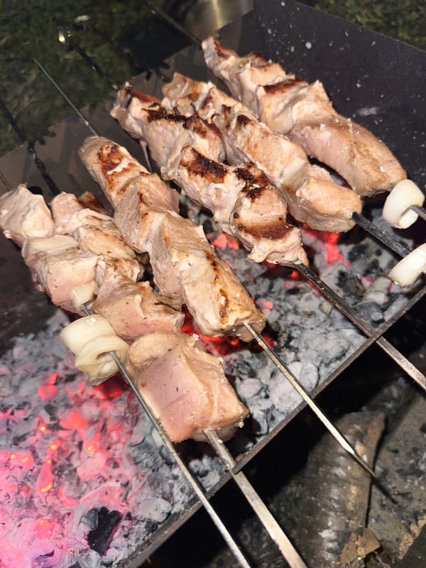 Backyard barbecue grilling observed in Biysk, Russia