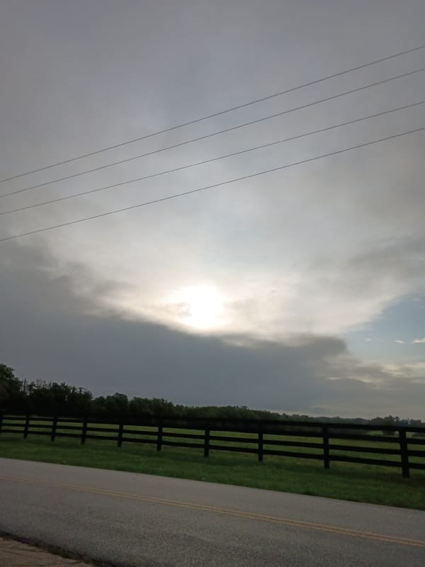 Fenced pasture road under cloudy skies, Versailles, Kentucky