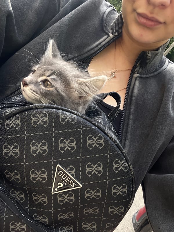 Casual afternoon selfies and scenes from Pushkino, cat included