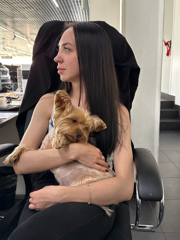 Yorkshire Terrier held and cuddled in Nizhny Novgorod office setting