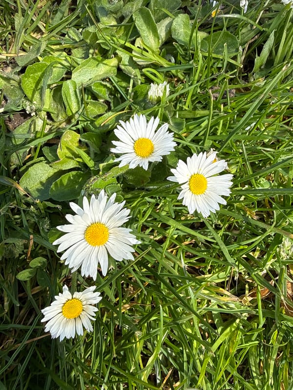 Routine Great Yarmouth street scenes documented over five minutes