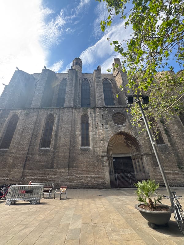 Street musician performs near Barcelona cathedral