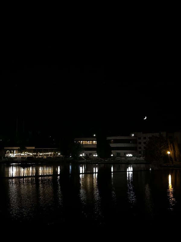 Evening waterside gathering documented in urban setting
