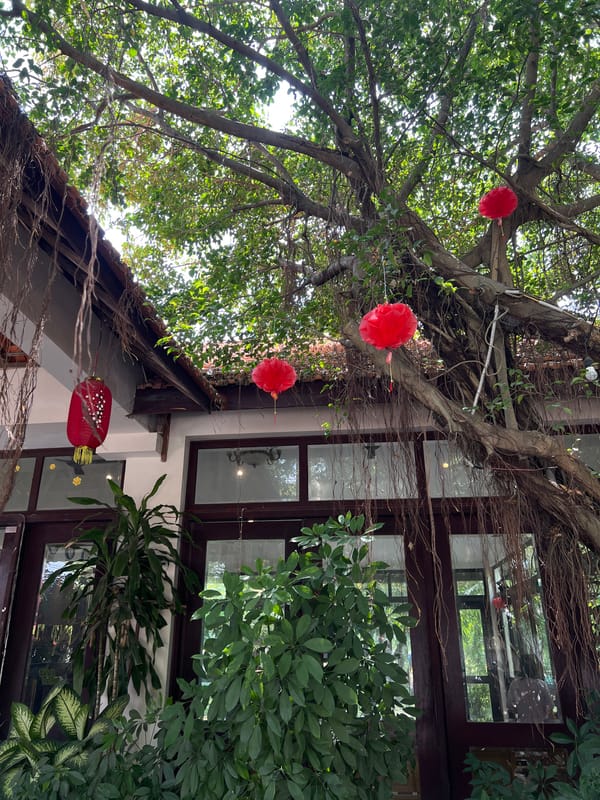 Early morning scenes captured across Dong Ninh Hoa Ward, Vietnam