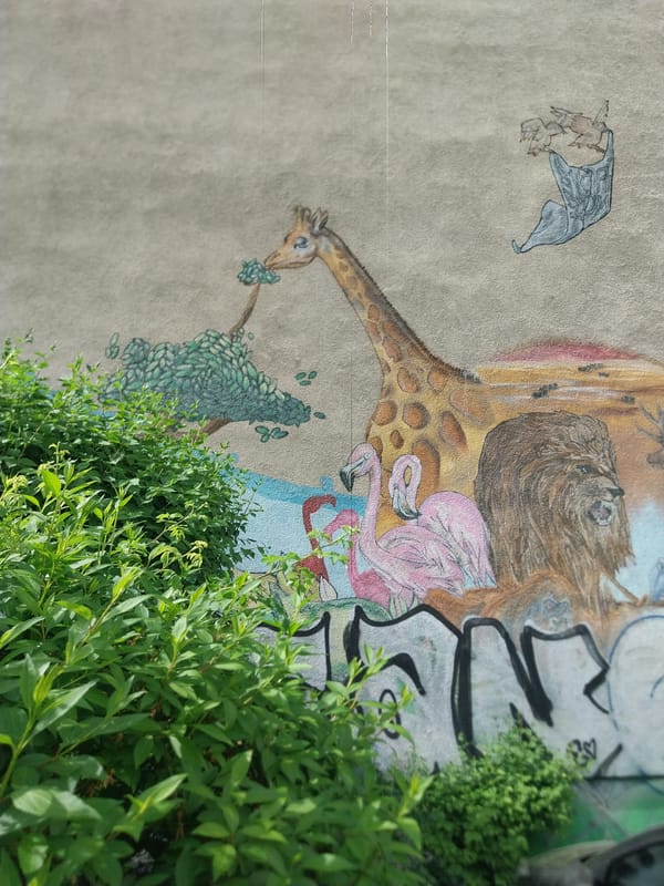 Berlin street art and historic church documented by witness