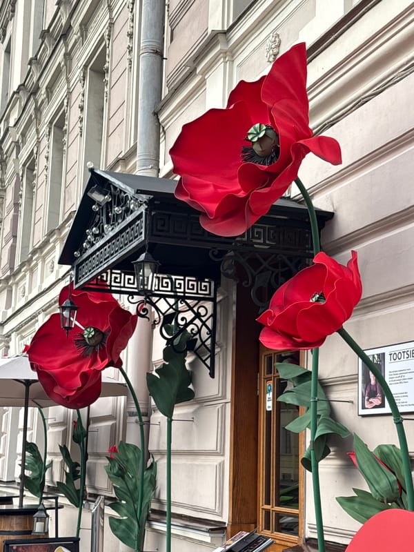 Saint Petersburg streets and facades, decorated for summer