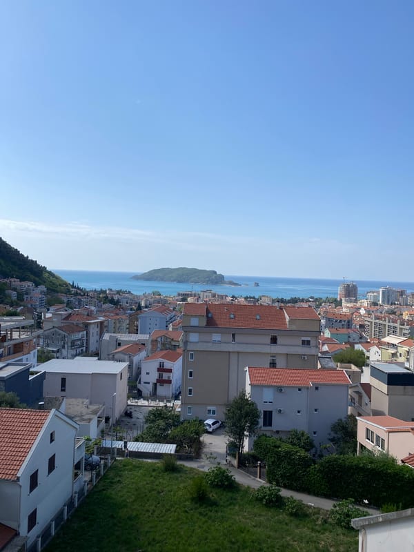 Morning documentation of Budva's coastal scenery and tropical flora