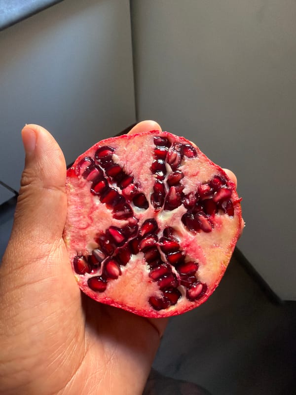 Barcelona resident documents fruit handling in morning sequence
