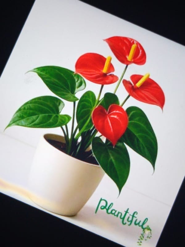 Botanical and nature photography session captures plants, wildlife, architecture