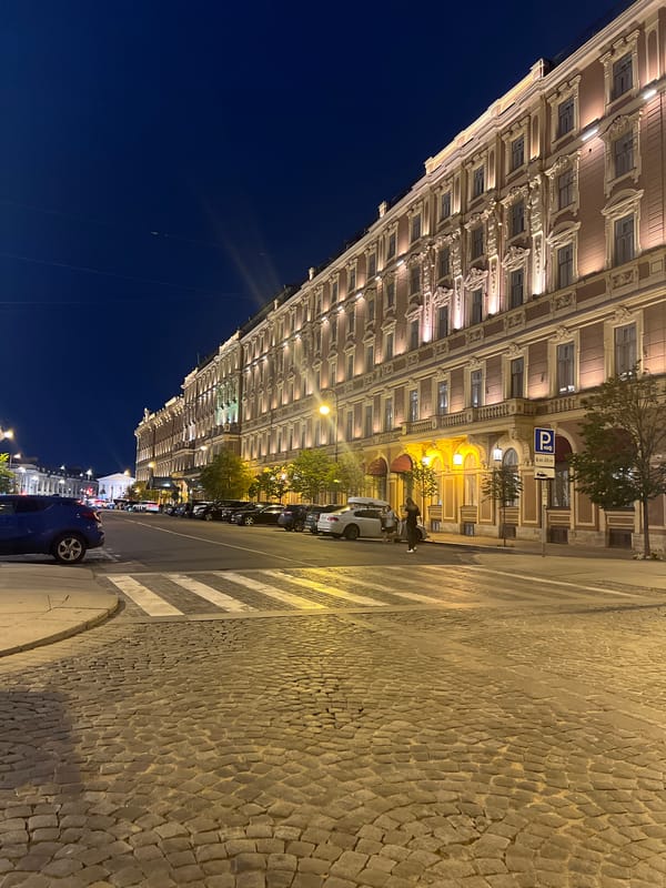 Saint Petersburg's grand historic center at night