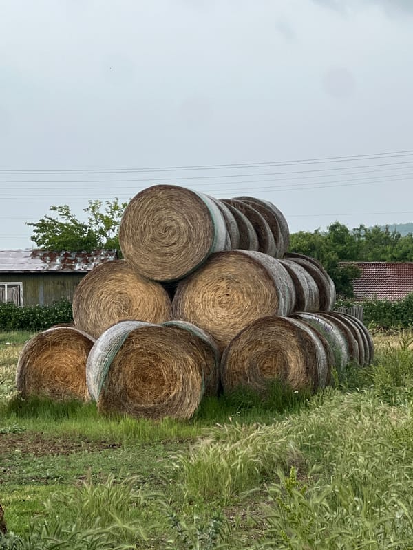 Rainy morning documented in rural Bulgarian village