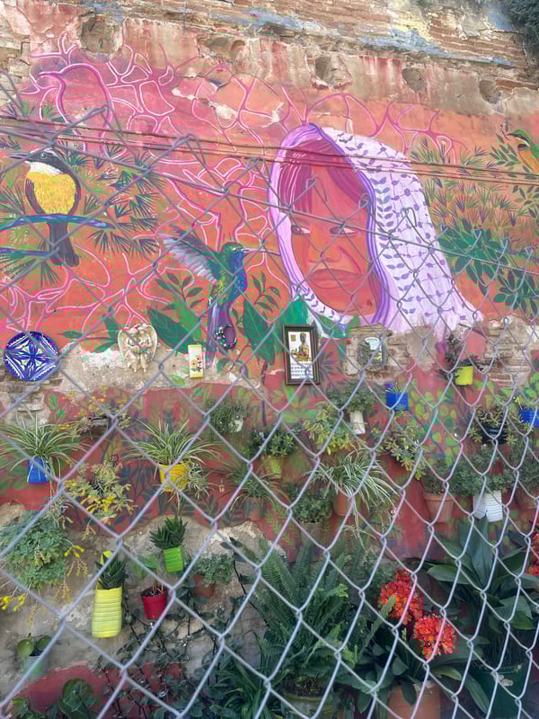 Nature mural with birds, plants spotted on Barcelona wall