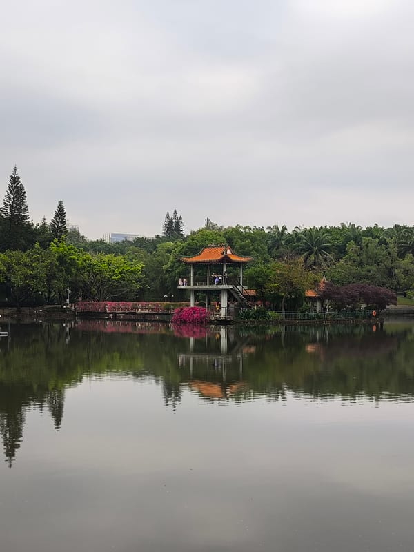 Peaceful morning scene documented at Longgang Park, China