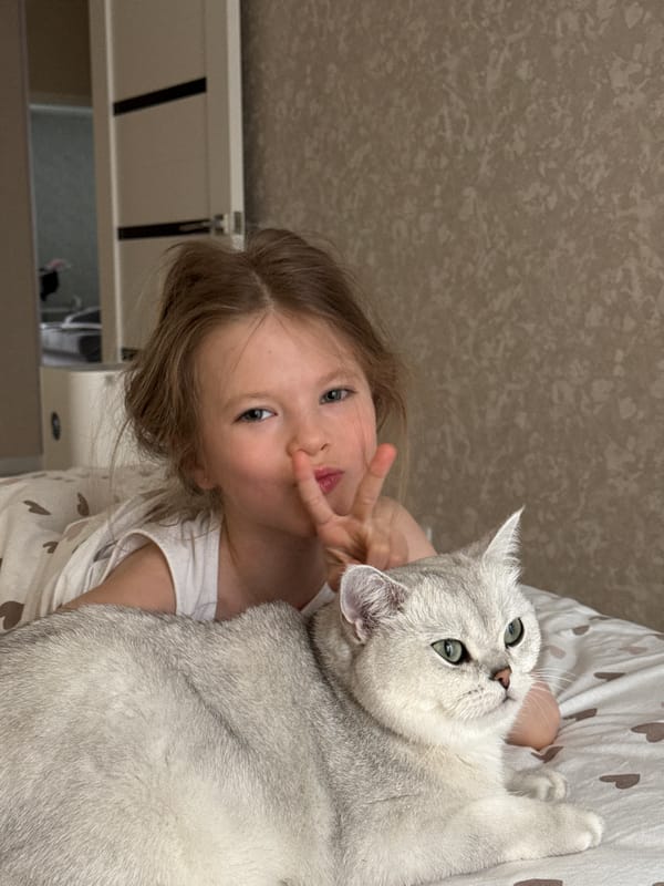 Early morning bedroom moments with cat in Izhevsk