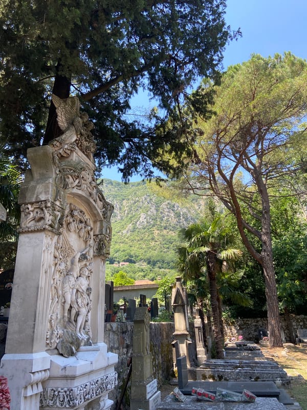 Cemetery grounds with ornate stonework, ivy, and mountain backdrop